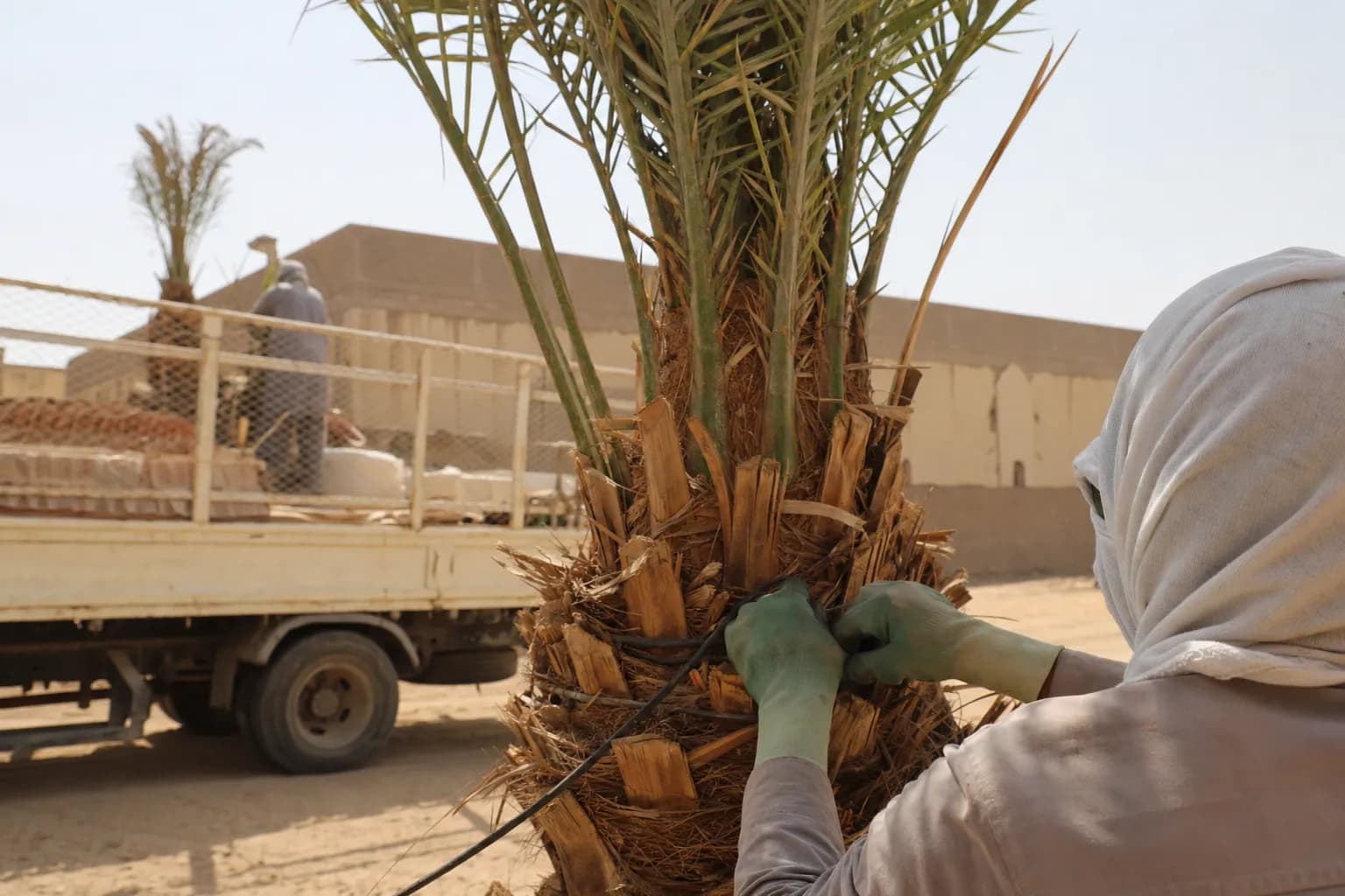 A closer look at the work at مقاول شبوك ونخيل ومباني طين تراثية 0550006805